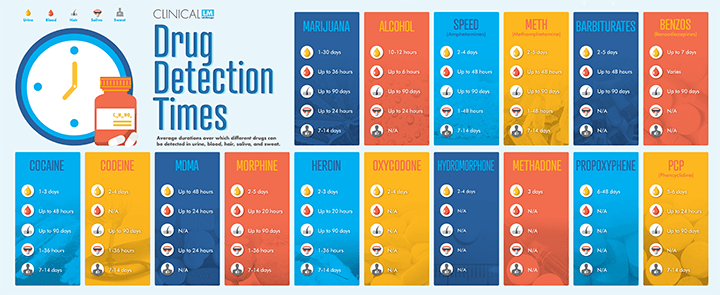 How Long Can Drugs Be Detected In The Body How Long Can Drugs Be Detected In The Body